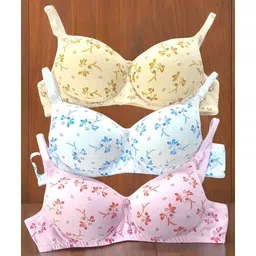 anamta Pack of 3 Women Push-up Lightly Padded Bra-picture-21