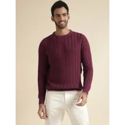 Andamen Burgundy Regular Fit Self Pattern Pullovers-picture-44