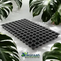 ankuraan Germination Trays for Seedling, Nursery Trays for Plants, 104 holes Set of 6 Plant Container Set-picture-23