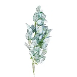 Apka Mart Green Leaf Bunch with Wooden Pot-picture-18