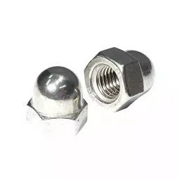 APL M24 Stainless Steel 316 Dome Nut (Pack of 100 Pcs)-picture-30