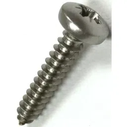 APL Stainless Steel Pan Head Self Tapping Screw (Dia 10.00 mm, Length 16 mm) AISI 304 (Pack of 500 Pcs)-picture-46