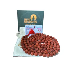 Apnisanskriti Unisex Metal Necklace-picture-32