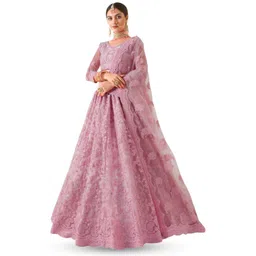 APNISHA Embroidered Semi-Stitched Lehenga & Unstitched Blouse With Dupatta-picture-16