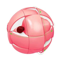 ARCADE TOYS Peach Shape Rubix Cube for Kids - Multicolour image 4