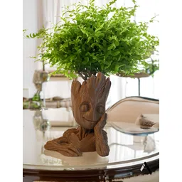 Archadia Brown Figurine Showpiece-picture-36