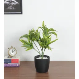 arick decor 1.3Ft Artificial Dracaena Green Bush with Black Pot-picture-13