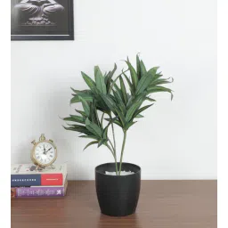 arick decor 1.3Ft Artificial Dracaena Plants Bush with Black Pot-picture-12
