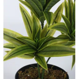 Arick Decor 15 Inch Artificial Dracaena Plants With Black Pot image 4