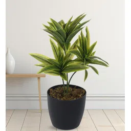 Arick Decor 15 Inch Artificial Dracaena Plants With Black Pot image 1