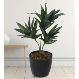 Arick Decor 15 Inch Artificial Dracaena Plants With Black Pot-picture-10