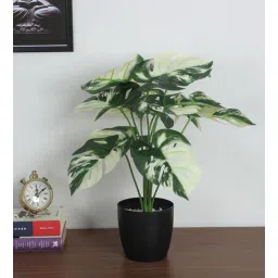 arick decor 1.8Ft Artificial Monstera Plants With Black Pot 12 Green Leaves-picture-38