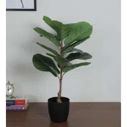 arick decor 2.4Ft Artificial Fiddle Leaf Fig Plants With Black Pot-picture-17