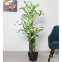 arick decor 5.2Ft Artificial Dieffenbachia Plants With Pot-picture-33