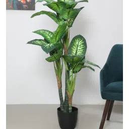 arick decor 5.2Ft Artificial Dieffenbachia Plants With Pot-picture-22