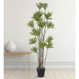 Arick Decor 63 Inch Artificial Dracaena Reflexa 15 Head Tree With Black Pot-picture-11