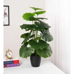 arick decor Artificial PVC Silk Rubber Plant with Pot-picture-36
