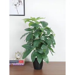 ARICK DECOR Green 1 Pieces Artificial Plant With Pot-picture-33