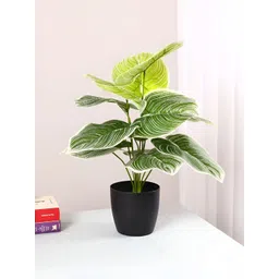 ARICK DECOR Green 1 Pieces Artificial Plant With Pot-picture-30