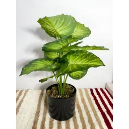 ARICK DECOR Green 1 Pieces Artificial Plant With Pot-picture-16