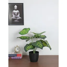 ARICK DECOR Green 1 Pieces Diffenbachia Artificial Plant With Pot-picture-30