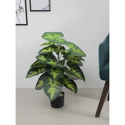 ARICK DECOR Green 1 Pieces Diffenbachia Artificial Plant With Pot-image-19