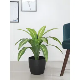 ARICK DECOR Green 1 Pieces Dracaena Artificial Plant With Pot-picture-29