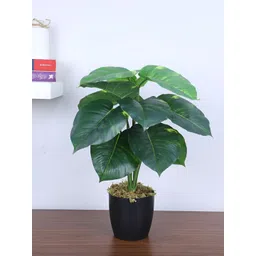 ARICK DECOR Green 1 Pieces Money Artificial Plant With Pot-picture-40