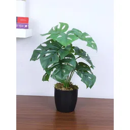 ARICK DECOR Green 1 Pieces Monstera Deliciosa Artificial Plant With Pot-picture-35