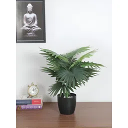 ARICK DECOR Green 1 Pieces Palm Artificial Plant With Pot-picture-35