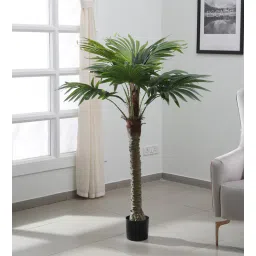 arick decor Pachira Green Plastic Artificial Plant-picture-24