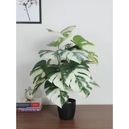 ARICK DECOR White 1 Pieces Artificial Plant With Pot-picture-28