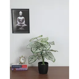 ARICK DECOR White 1 Pieces Artificial Plant With Pot-picture-20