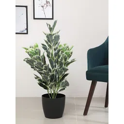 ARICK DECOR White 1 Pieces Croton Artificial Plant With Pot-image-41