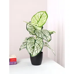 ARICK DECOR White Artificial Plant With Pot-picture-15
