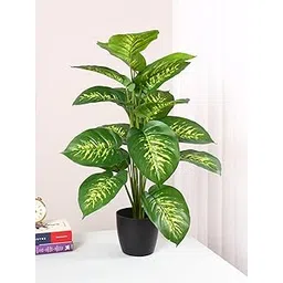 ARICK DECOR Artificial Miniature PVC Silk Dieffenbachia Floor Plant with Big Leaves with Pot(18 Leaves, 65 cm Tall) (2.2FT-DIEFFENBACHIA)-picture-13
