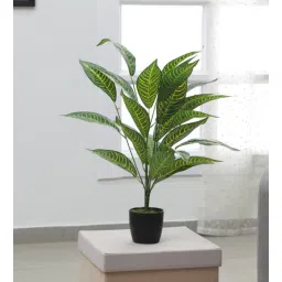 Polyester Croton Artificial Plant With Pot by Arick Decor-picture-18