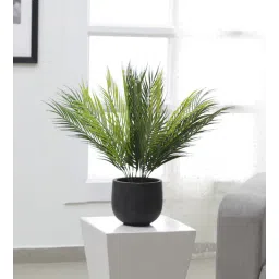 PVC Areca Palm Artificial Plant Without Pot (Set of 2) by Arick Decor-picture-28