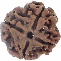 arihant gems & jewels Arihant Gems and Jewels® 4 Mukhi/Faced Nepali Rudraksha | Natural & Certified | Astrological Benefits | Positive Energy | Unisex for Men & Women-picture-40