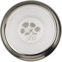 arin collection steel plates Dinner Plate-picture-26
