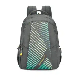 aristocrat Men Striped Backpack with Adjustable Straps-picture-53