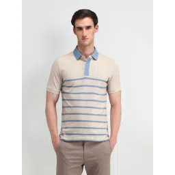 Arrow Beige Cotton Regular Fit Striped Polo T-Shirt-picture-30
