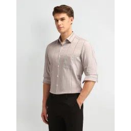 Arrow Brown Cotton Slim Fit Striped Shirt image 3