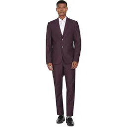 arrow Men Men Dark Purple Tailored Regular Fit Single Breasted Formal Suit Solid Suit-picture-11