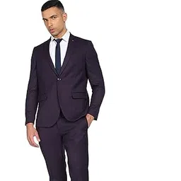arrow Men Purple Single Breasted Solid Two Piece Suit-picture-12