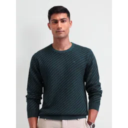 Arrow Men Self Design Round Neck Pullover Sweaters-picture-17