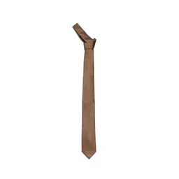 Arrow Men Solid Skinny Tie-picture-20