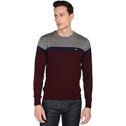 arrow Men Sweater-picture-35