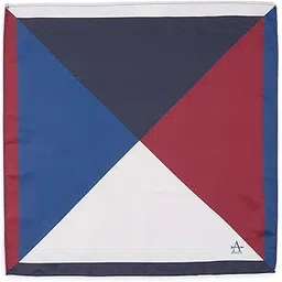 arrow Men's Colour Block Satin Pocket Square-picture-15