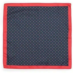 arrow Mens Polka Dots Pocket Squares-picture-43
